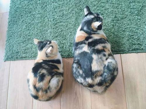 三花猫的两个老公娱乐吃瓜酱,揭秘两个老公的娱乐吃瓜日常