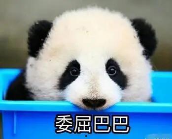 娱乐吃瓜酱熊猫生气,娱乐吃瓜酱揭秘背后真相