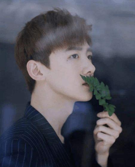 娱乐圈理性吃瓜白敬亭,娱乐圈理性吃瓜者的智慧与魅力